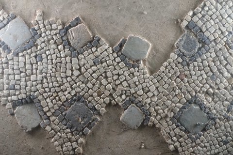 Bologna saints Vitale and Agricola floor