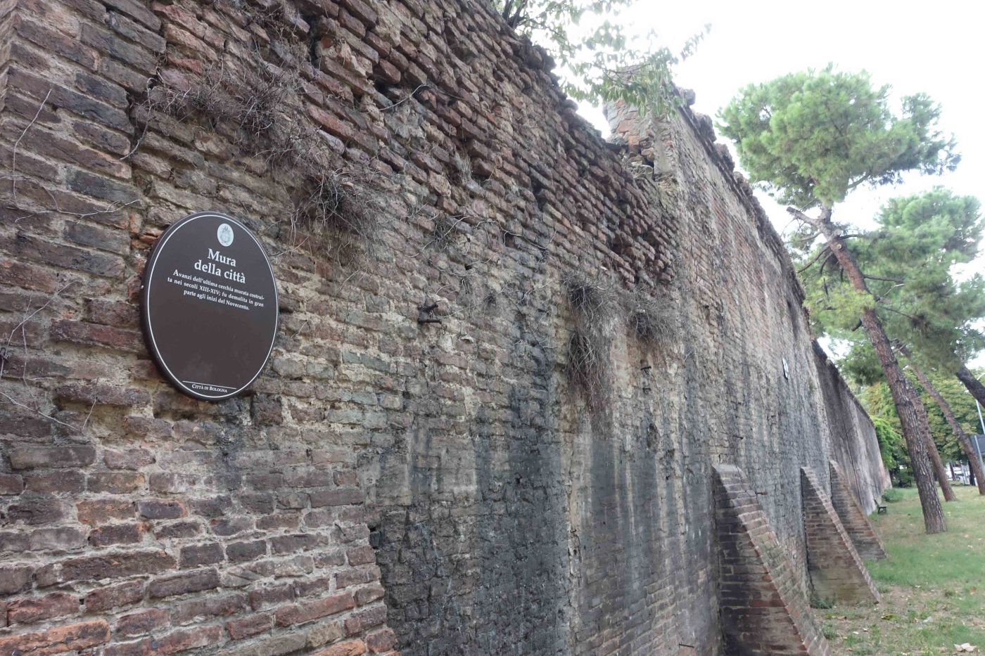 Bologna walls