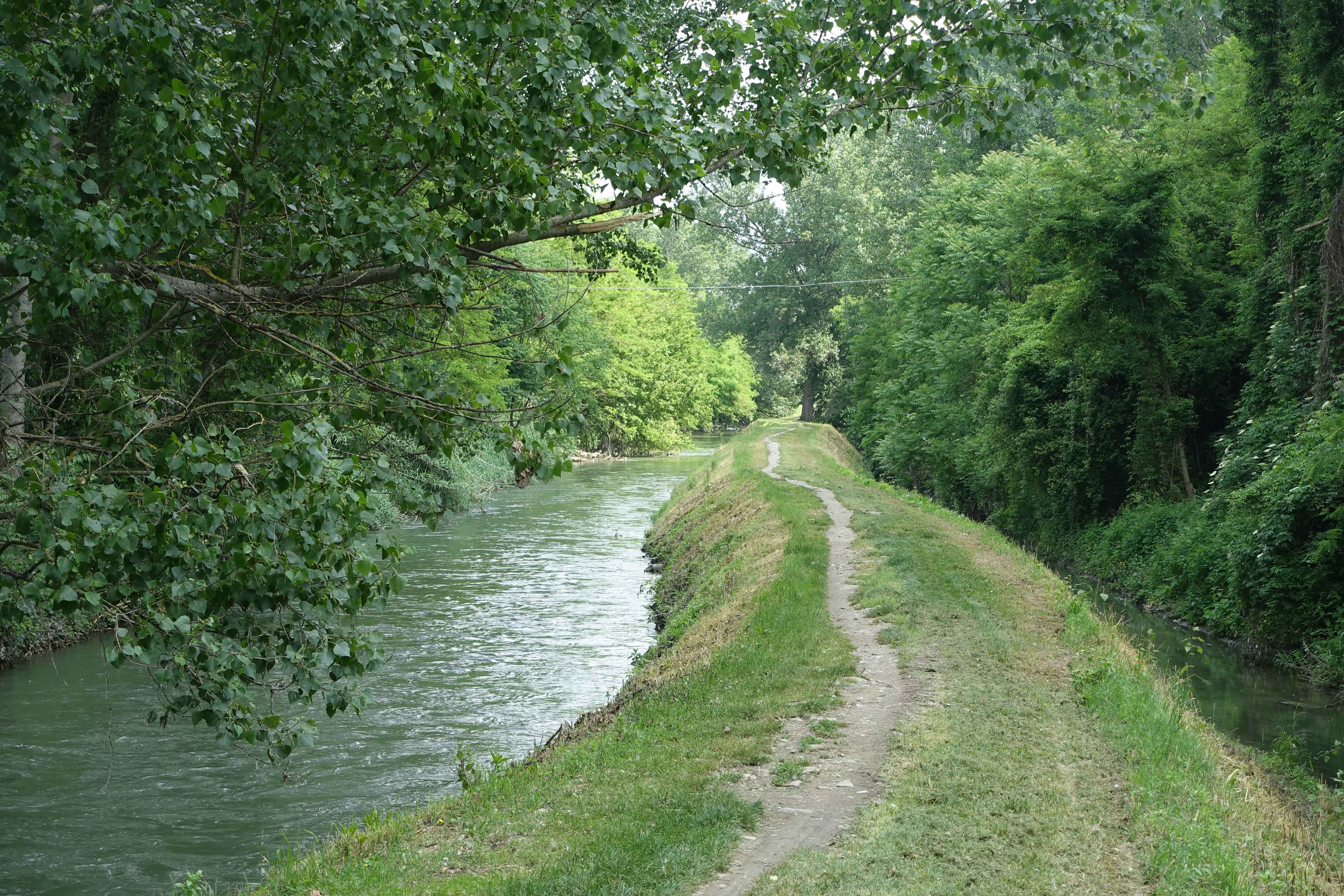 bologna navile canal walk