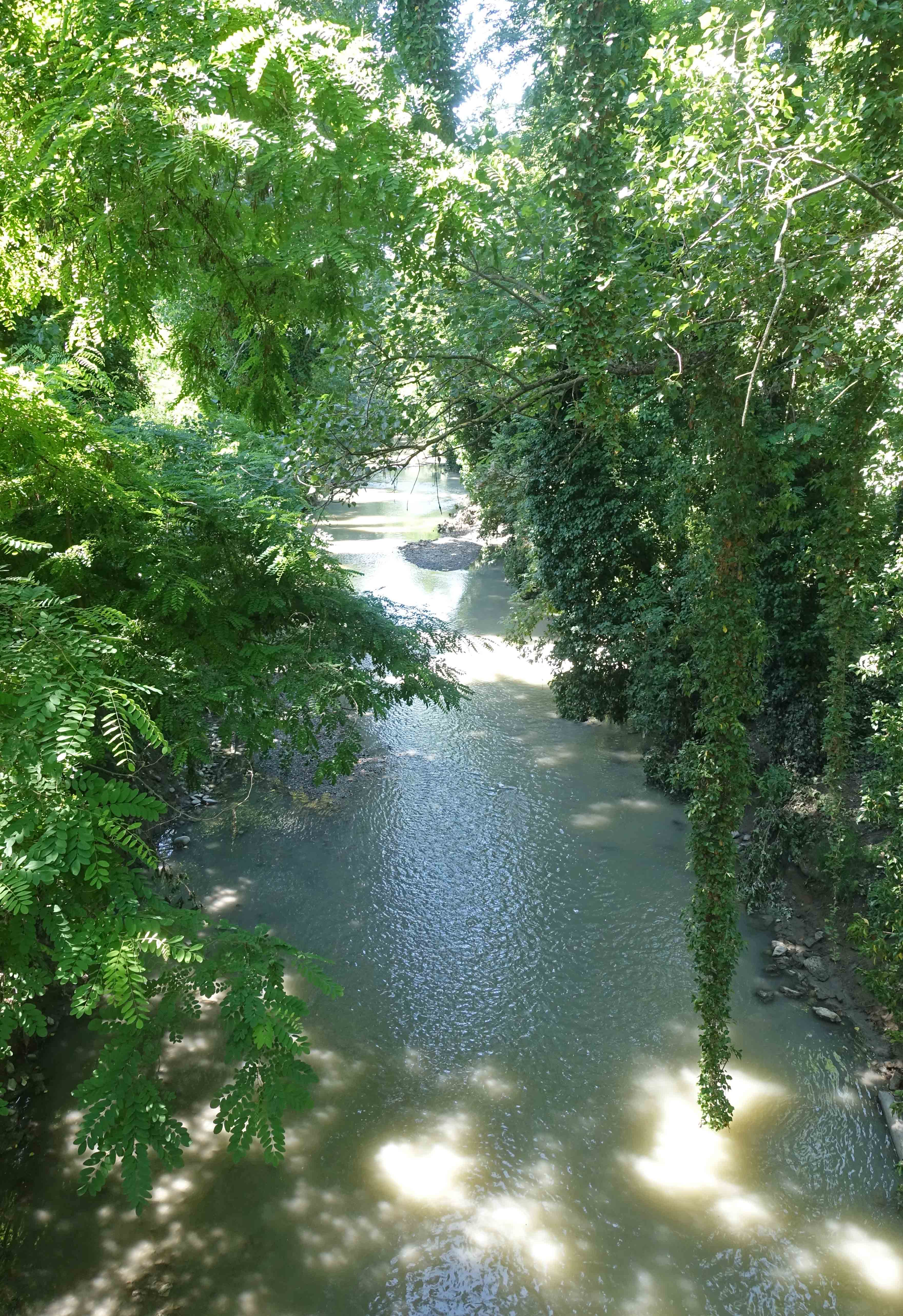 Navile in Parco Villa Angeletti bolgns