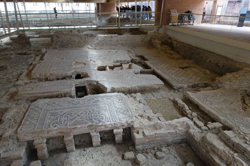 surgeons house rimini 2